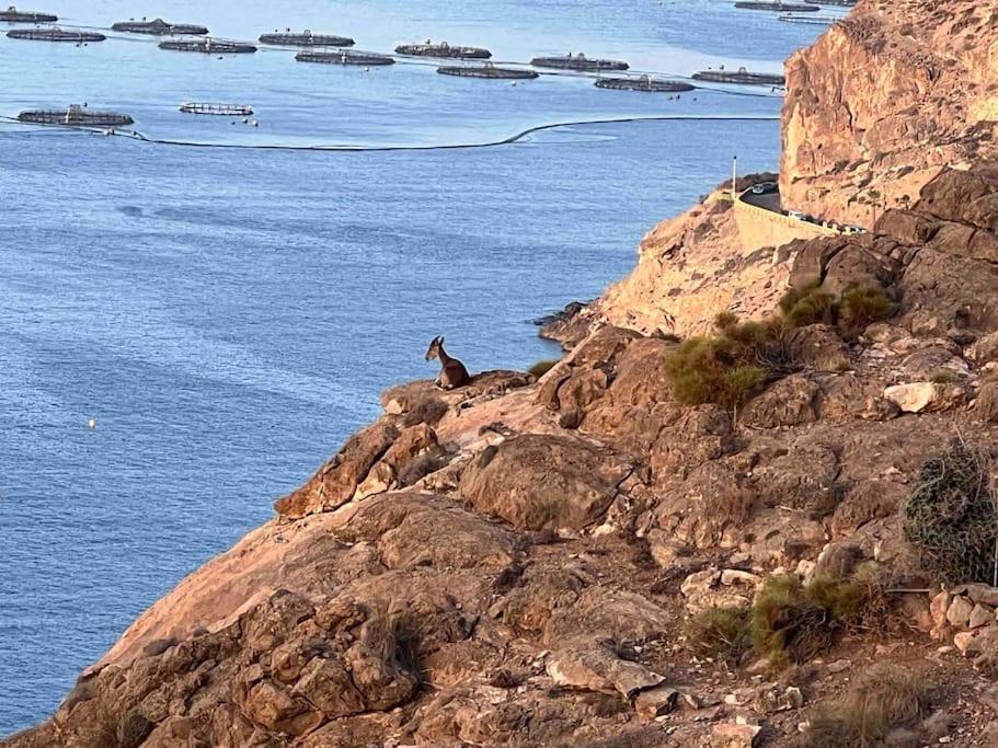 Luz De Mar Lägenhet Almería Exteriör bild